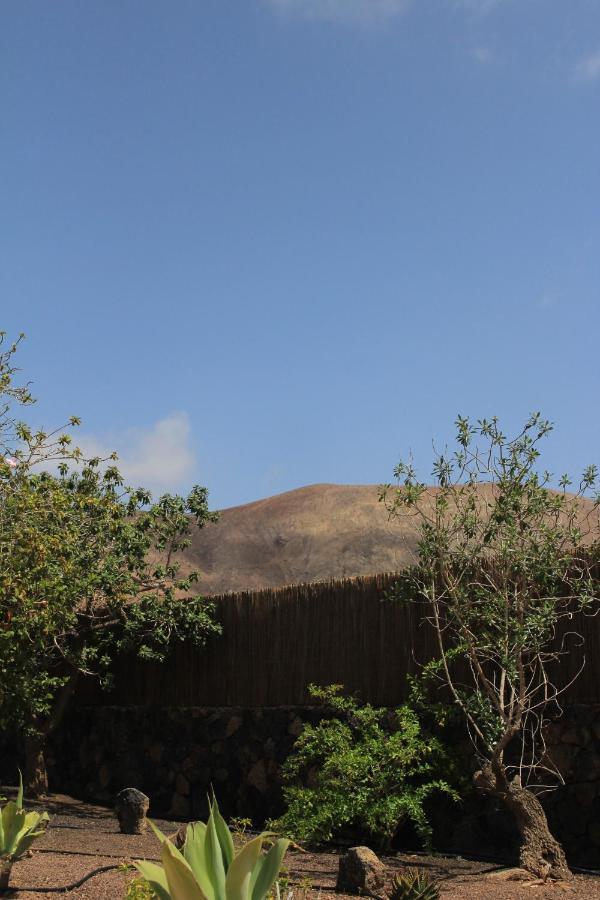 Villa Amrita La Oliva Esterno foto